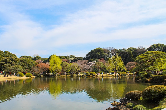 Beautiful Parks and Gardens in&nbsp;Tokyo!