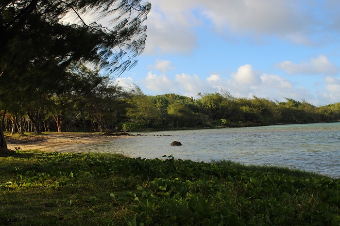 Beach near Jeff's Pirates Cove